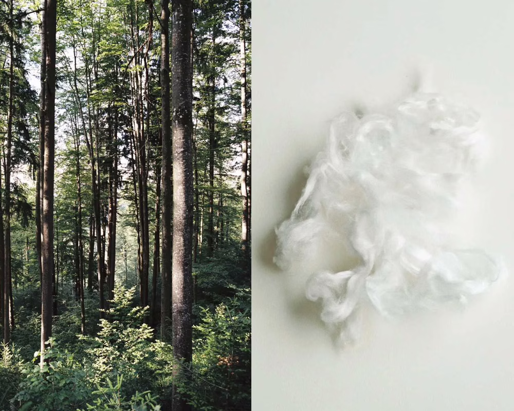 Tencel Lyocell takes eucalyptus wood as its main raw material